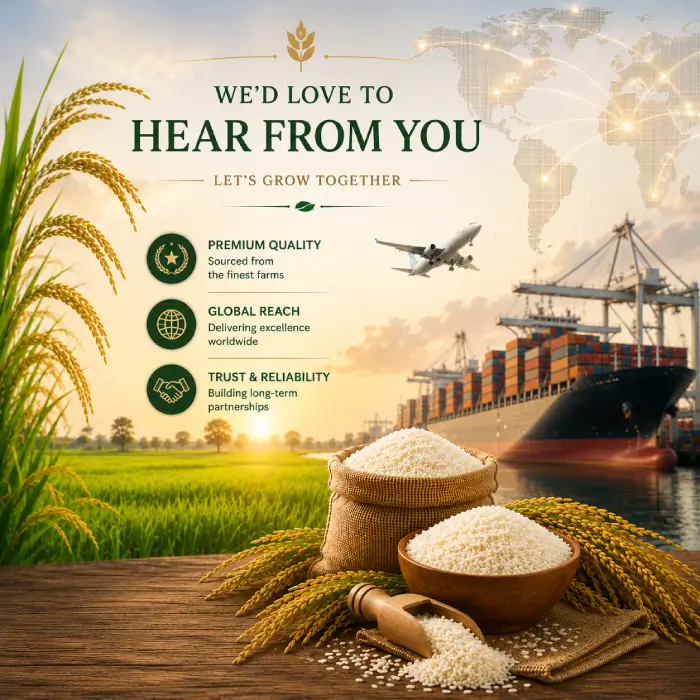 M N Global contact