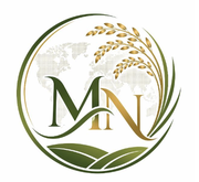 M N Global
